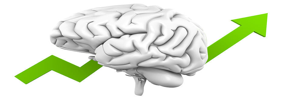 Nootropics!
